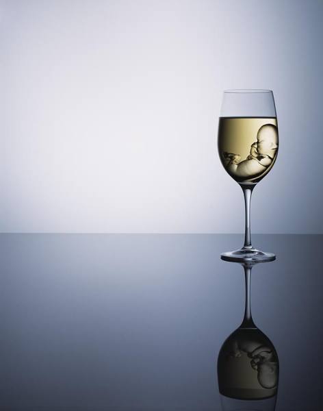 Photograph Jonathan Knowles Fas Aware Uk White Wine on One Eyeland